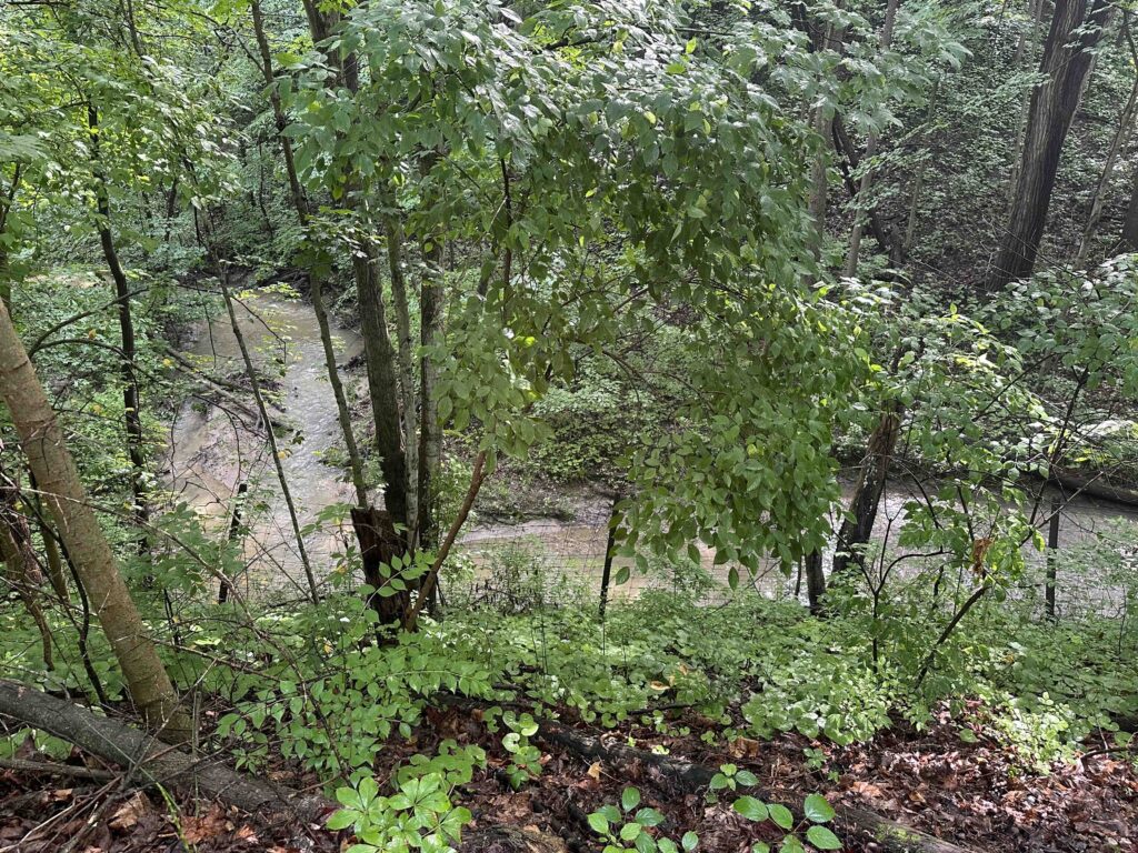 view of the river