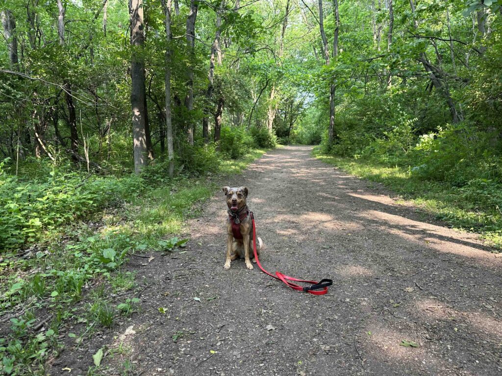 Oxbow County Park