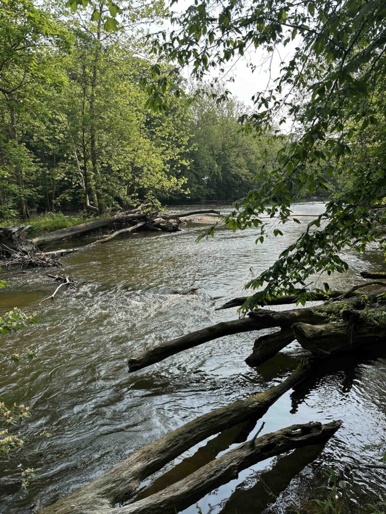 Elkhart River