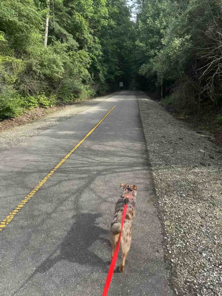 Start of the Nickel Plate Trail