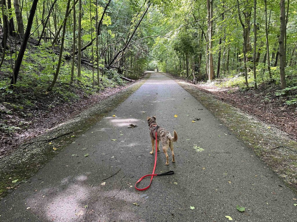 Nickel Plate Trail