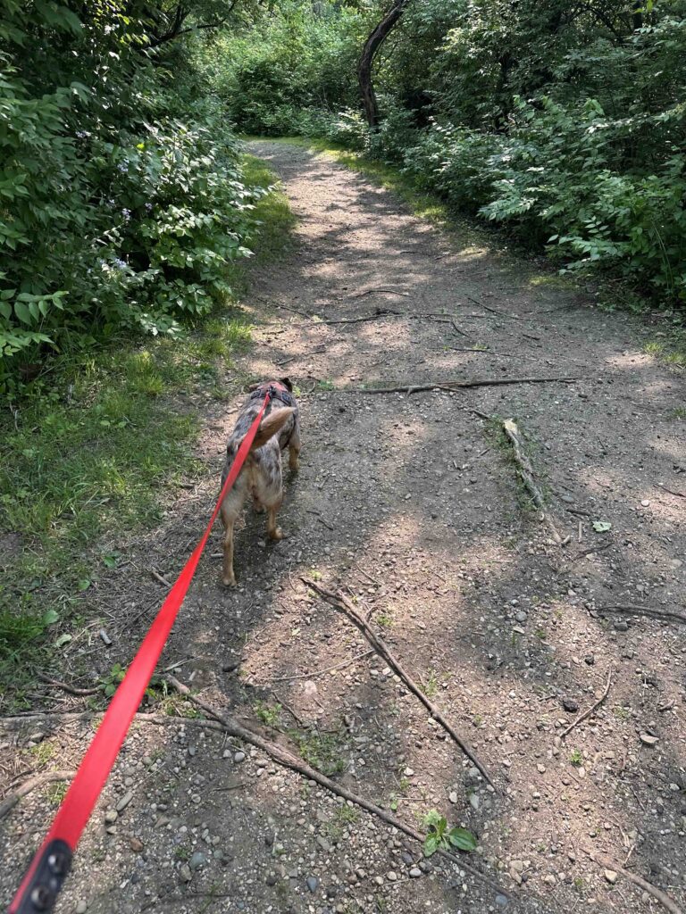 on the trail at Oxbow County Park