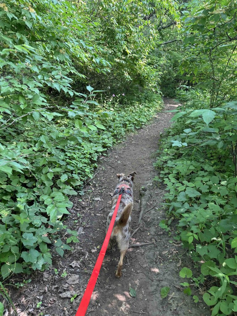 on the trail at Oxbow County Park