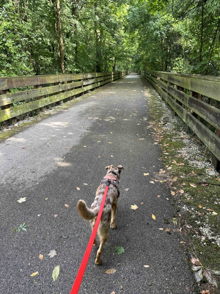 Nickel Plate Trail