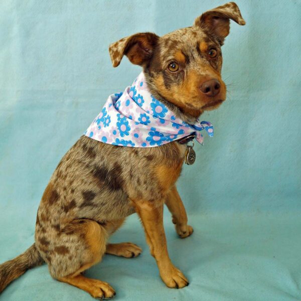 Fabric Bandana - Bubble Gum Flower