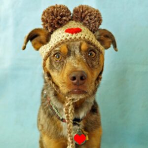 Rudolph Hat