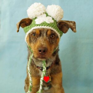 Shamrock Hat