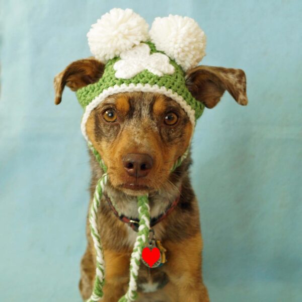 Shamrock Hat