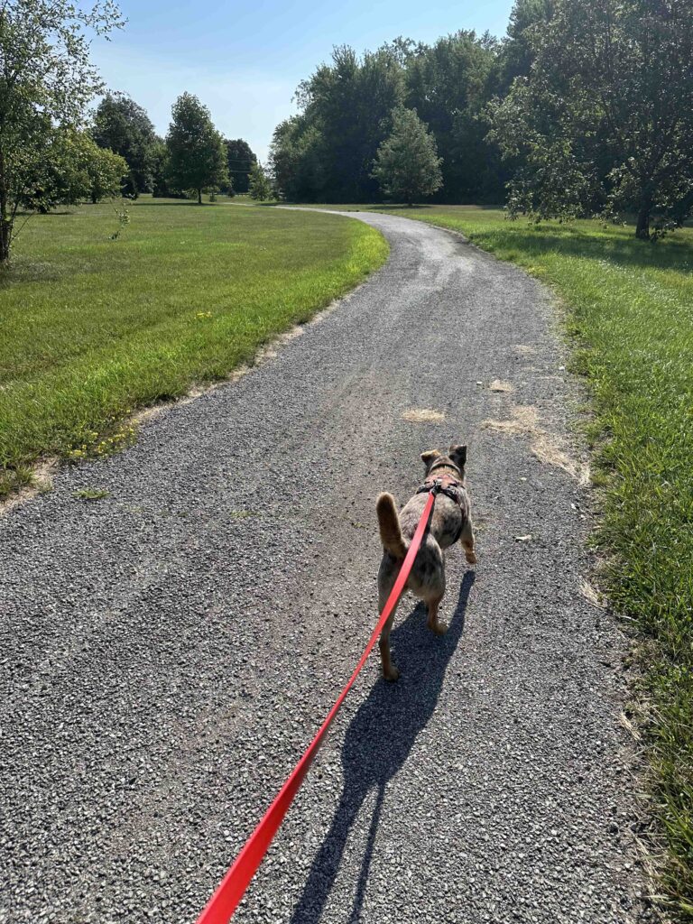 start of the trail