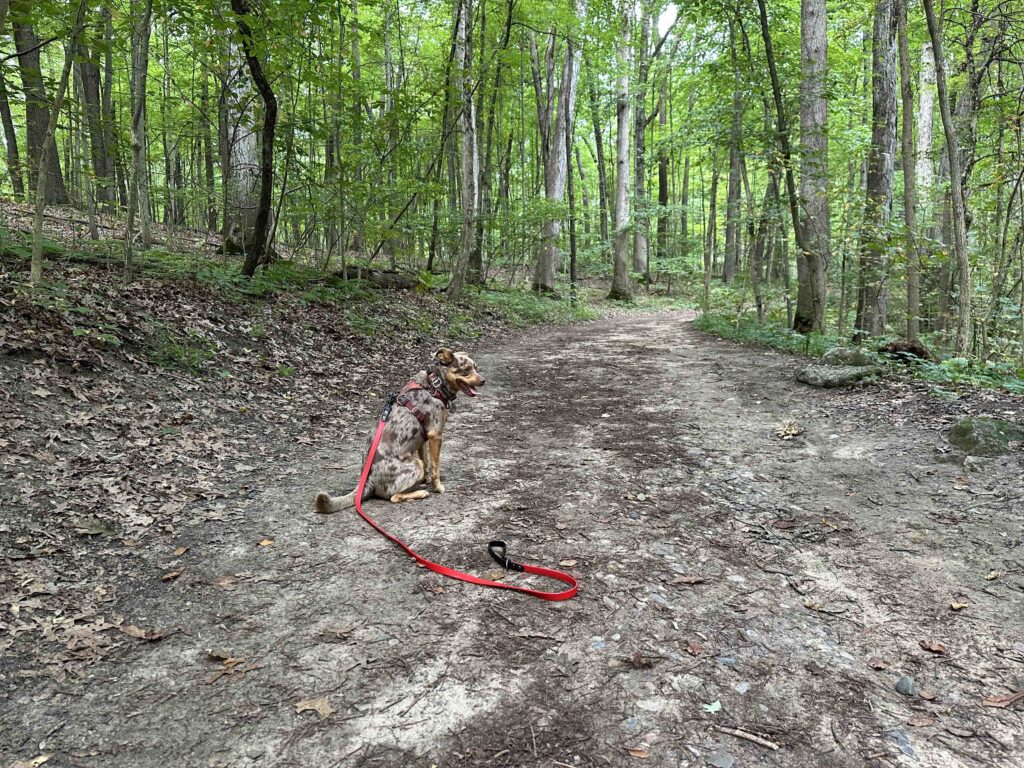 Wildwood Preserve