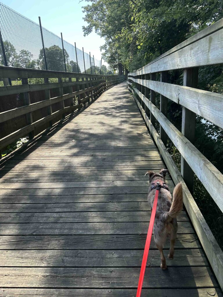 boardwalk 1 over the Maumee River
