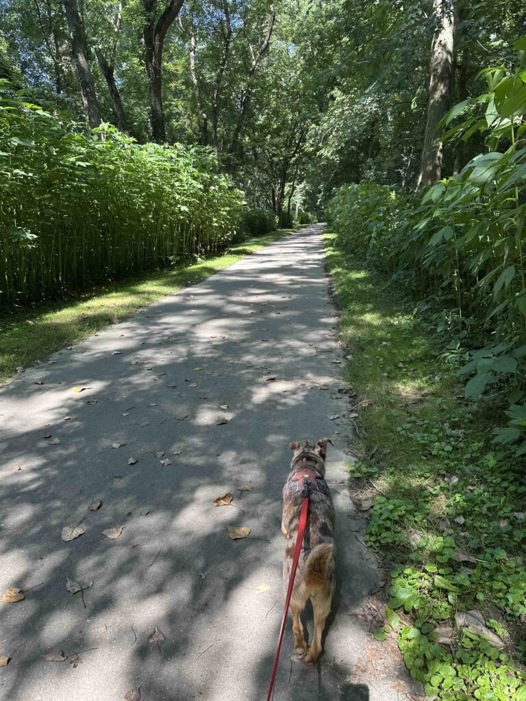 River Greenway