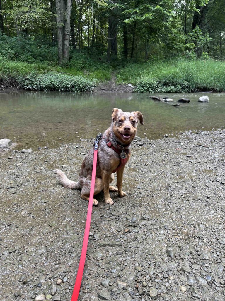 Near the Ottawa River