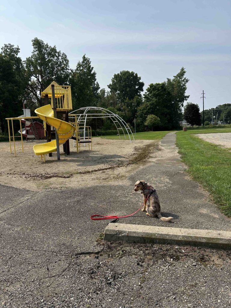 Firemen's Park playground equipment