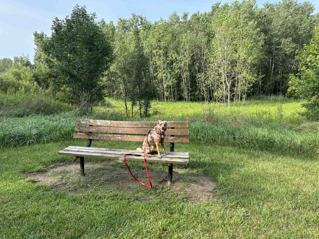 Great spot for a rest