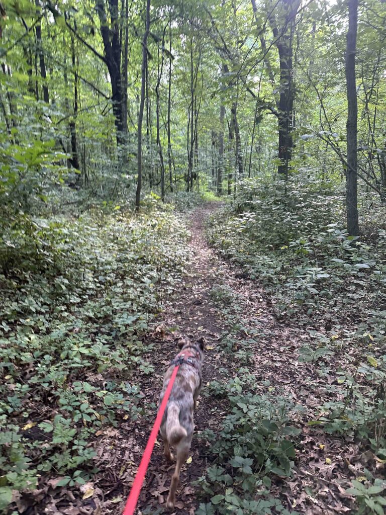 Long Trail