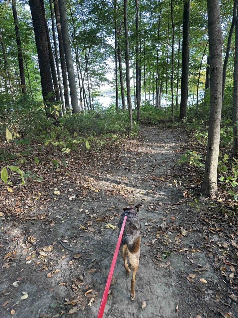on the way to campsite #6