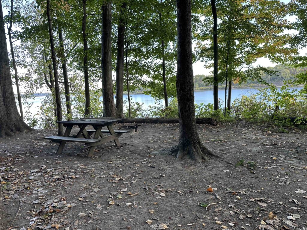 campsite #6