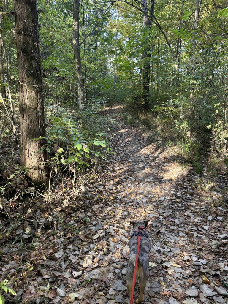 f the trail