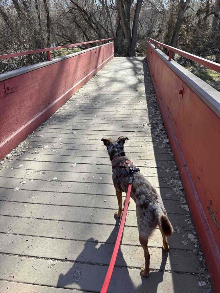 over the bridge in Prescott Arizona