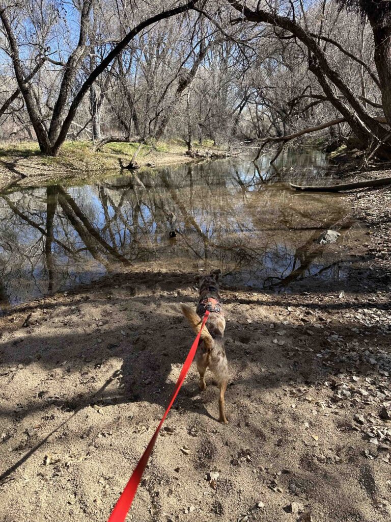 checking out the water