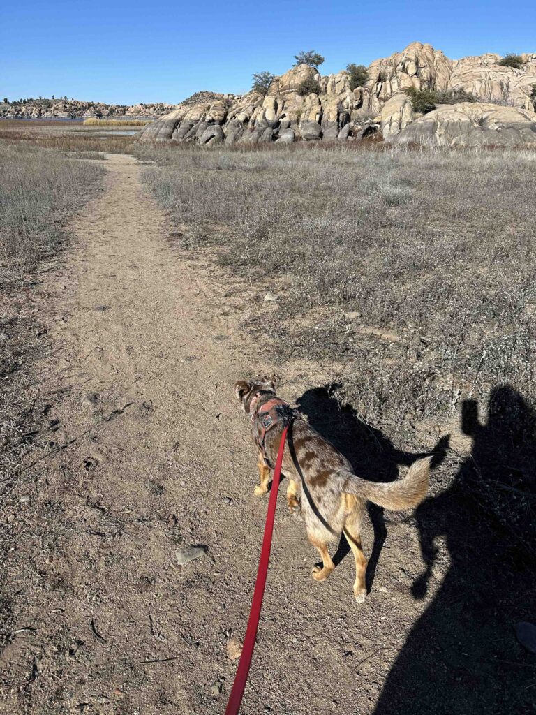Sunny on the dirt trail heading to the lake at Willow Creek Reservoir in Prescott Arizona