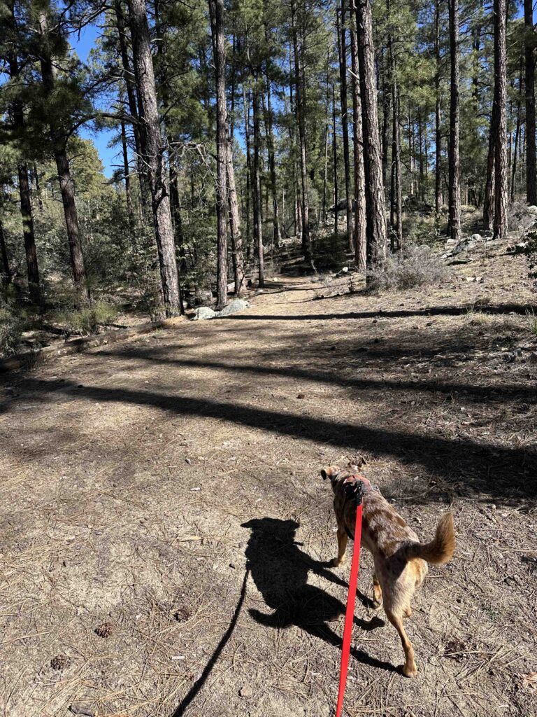 Goldwater Loop trail Prescott Arizona
