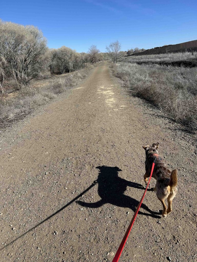 bike trail in Prescott Arizona