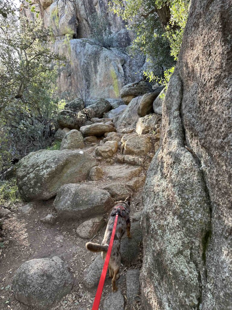 start of Granite Gardens trail