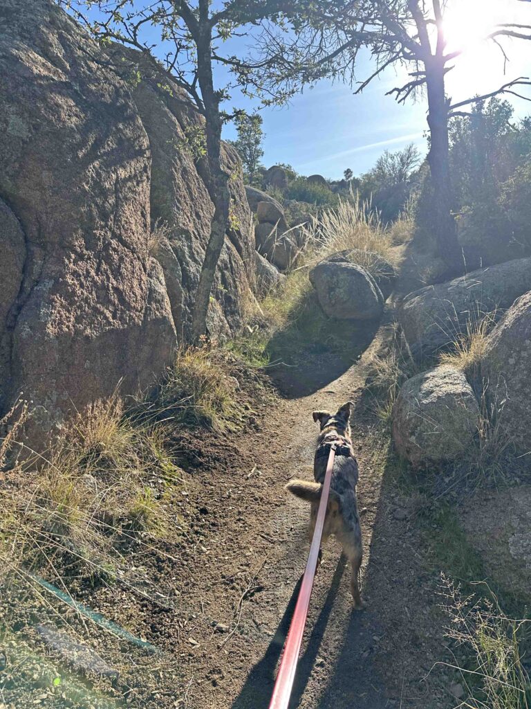 starting to climb on the trail