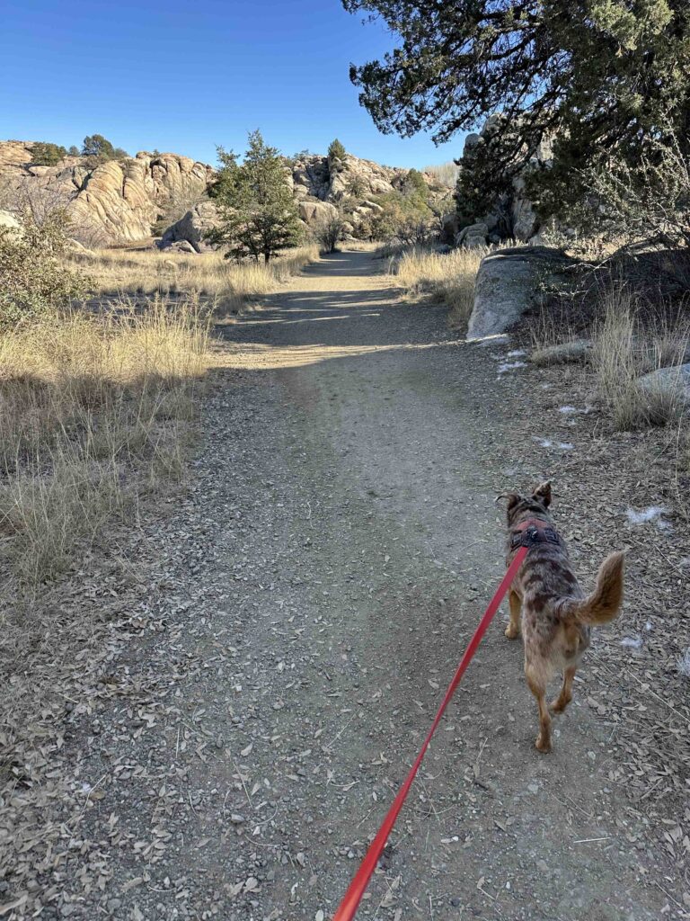 On the trail back to the car in Prescott Arizona
