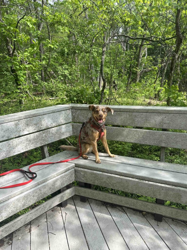 all smiles on the observation deck
