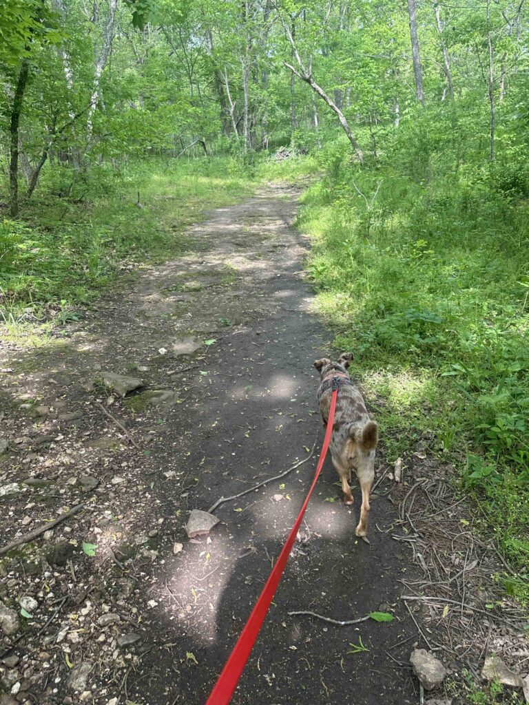 on the trail at Valley Water Mill Park