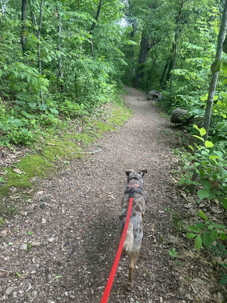 on the trail at Valley Water Mill park