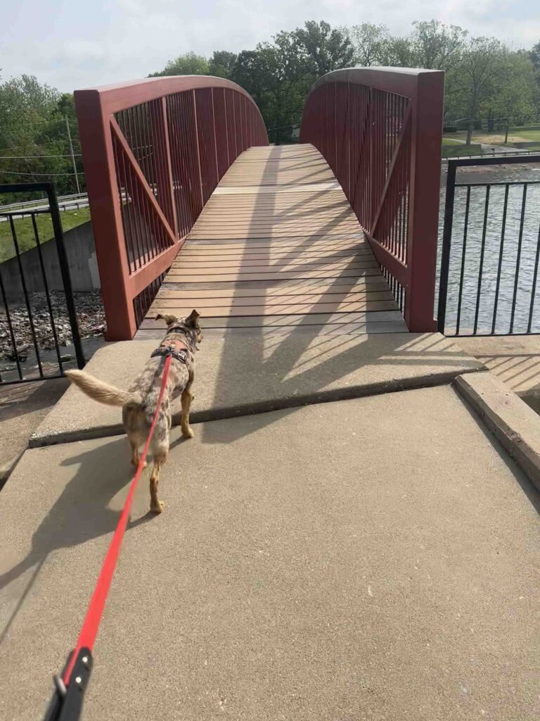 over the dam at Valley Water Mill Park