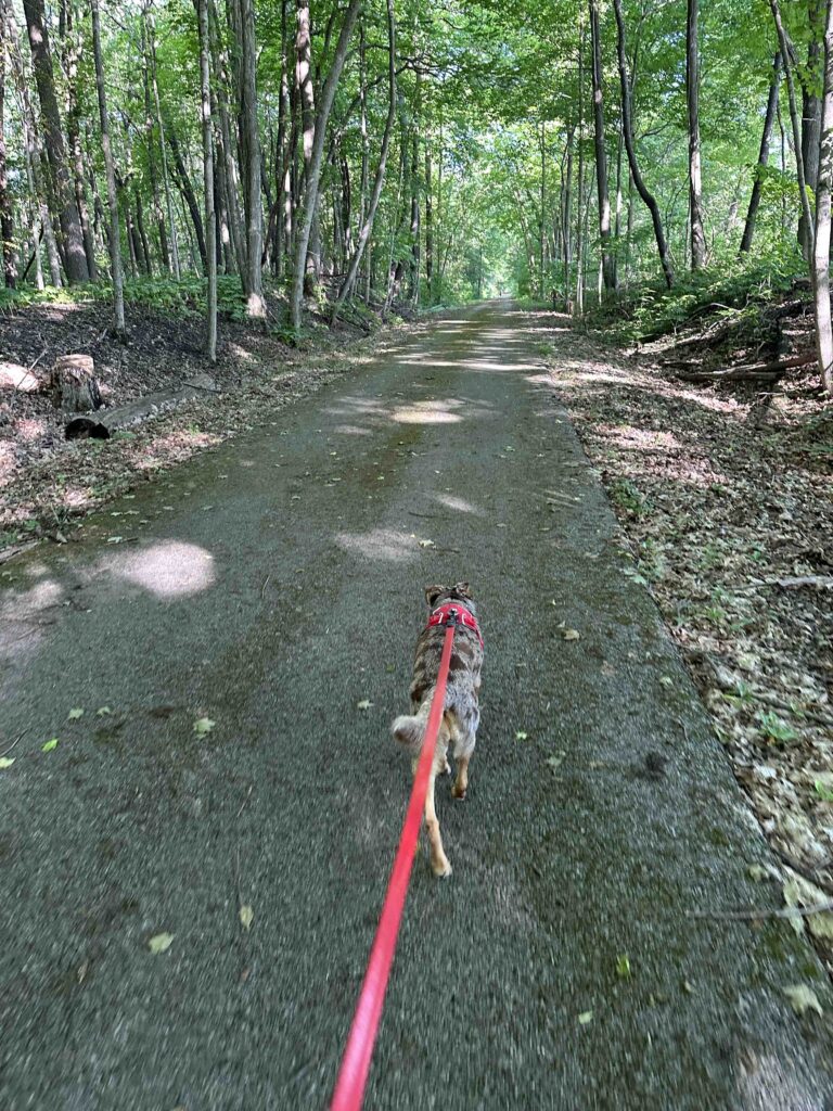 on the Fishing Line Trail