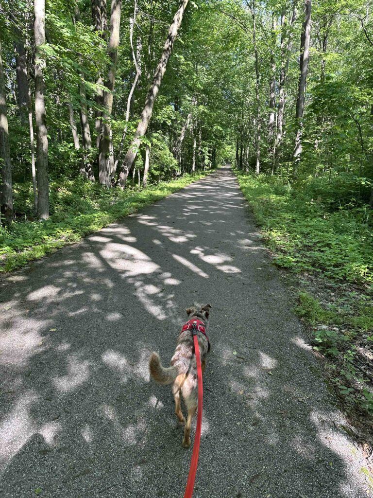 on the Fishing Line Trail