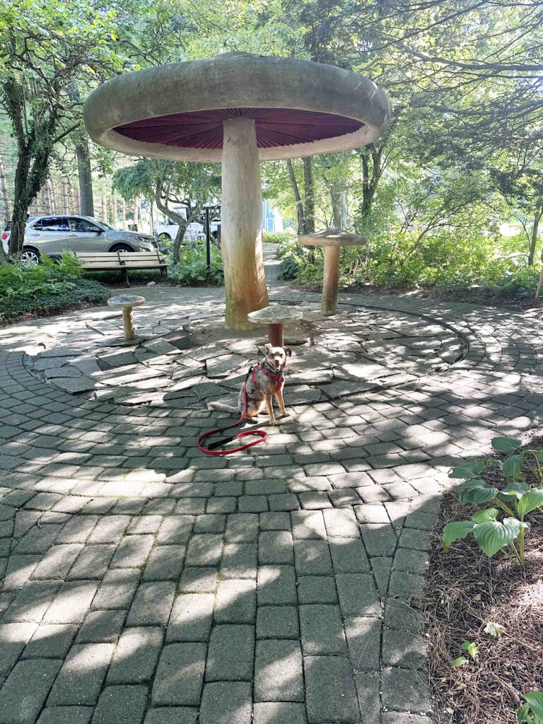 toadstools at Krider World's Fair Garden