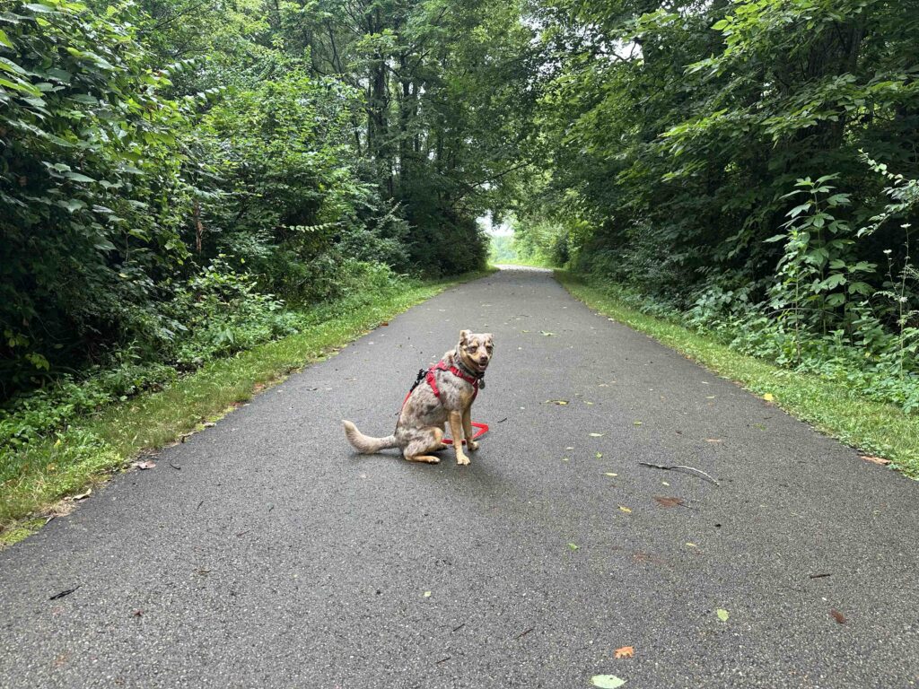 Sunny on the Wilbur Wright Trail in New Castle, Indiana