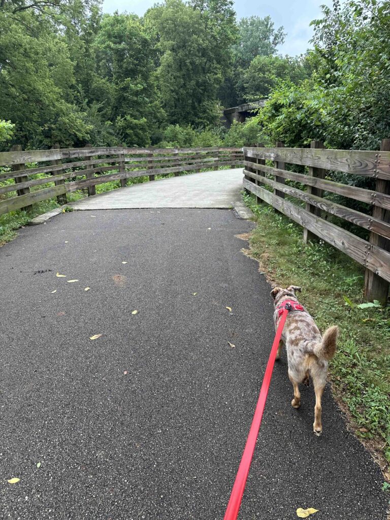 on the bridge