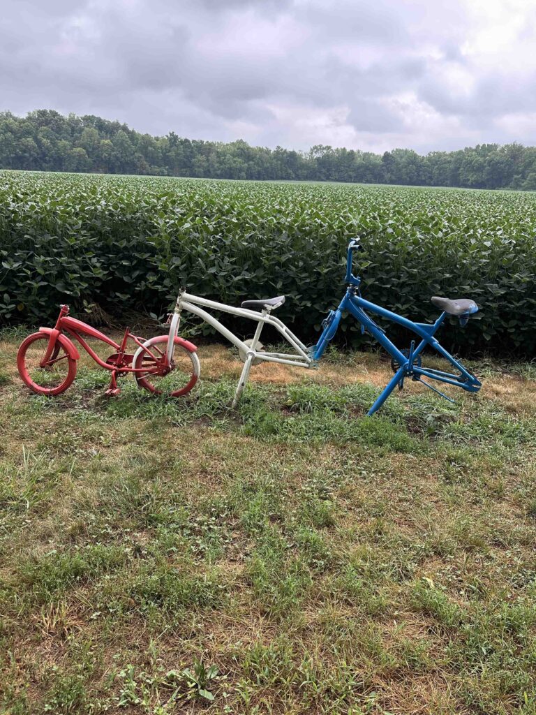 bike artwork on the Wilbur Wright trail
