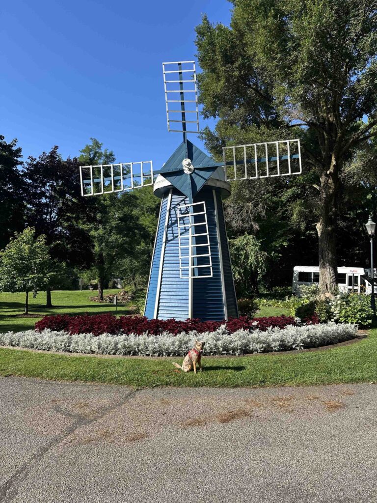 windmill at the garden