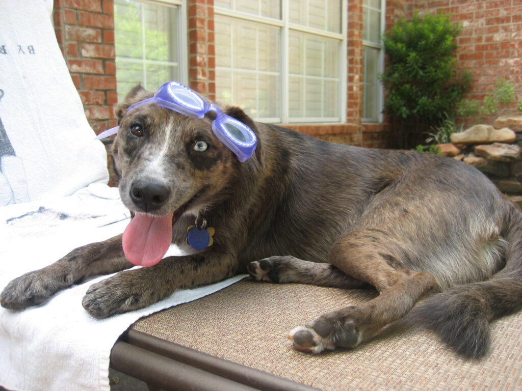 Karlie in her younger days with swimming goggles on her head