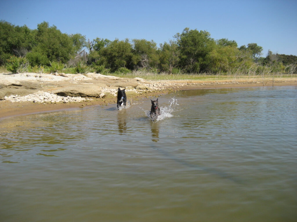 Anna and Karlie running at Lake Grapevine in Texas