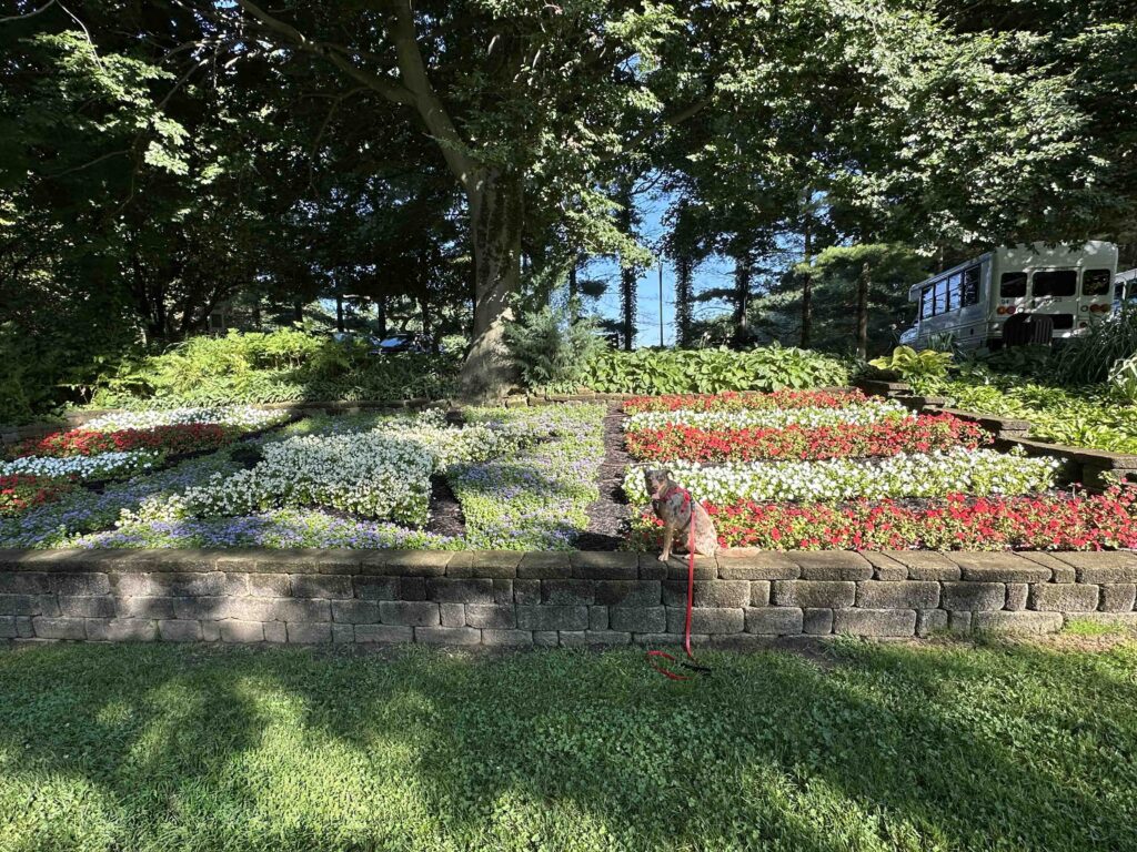 Sunny at quilt garden at Krider World's Fair Garden