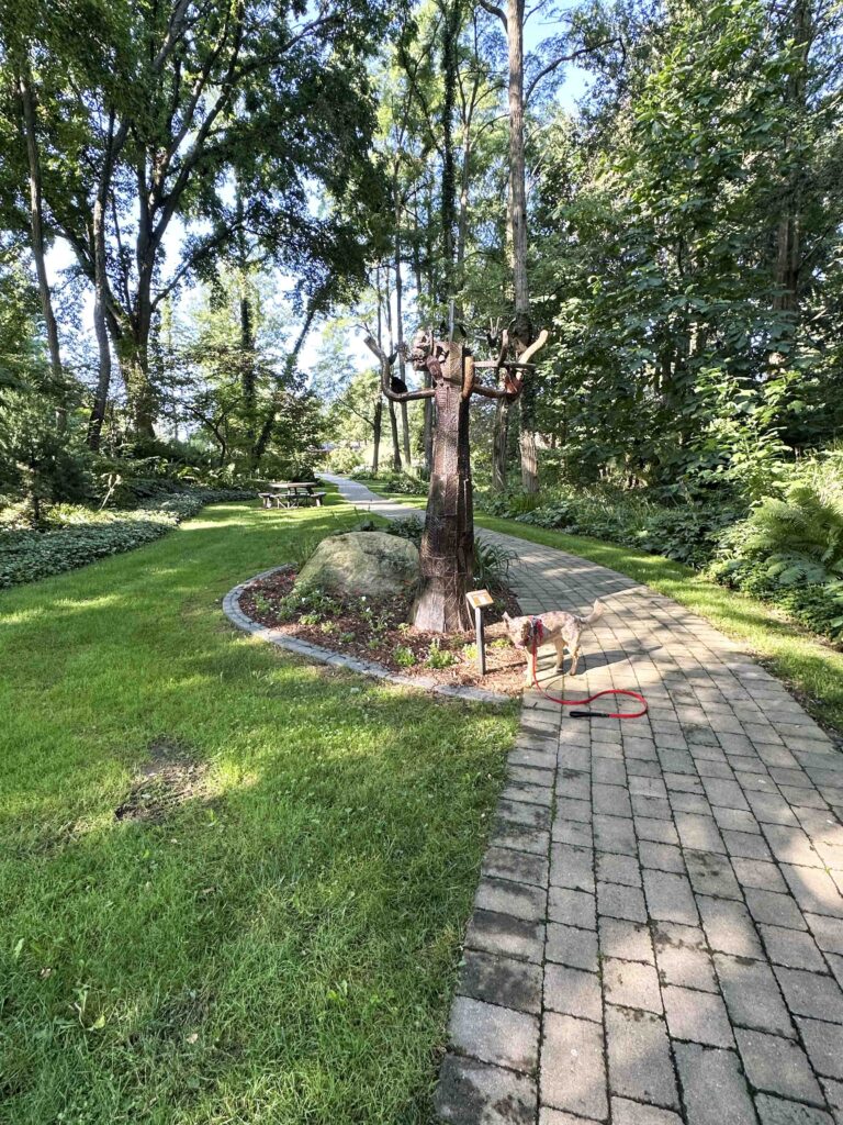 view of some of the garden