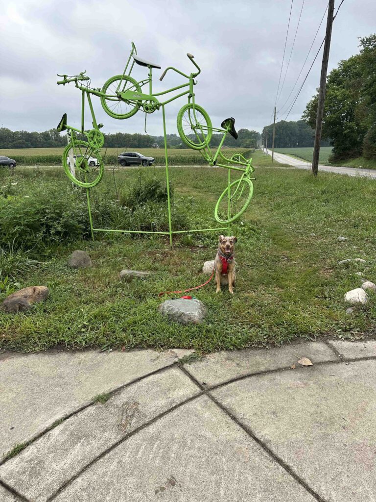 Sunny and bike artwork on the trail