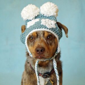 Snowflake Hat