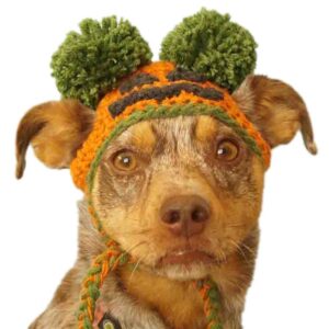 Pumpkin Hat