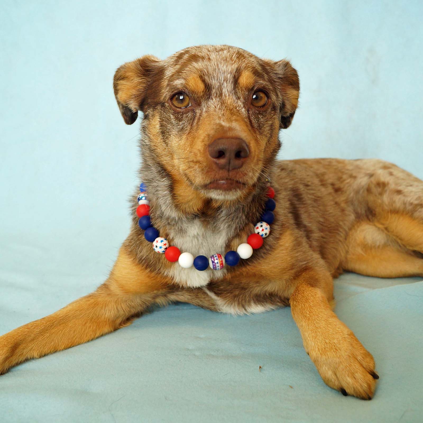 Necklace - Patriotic